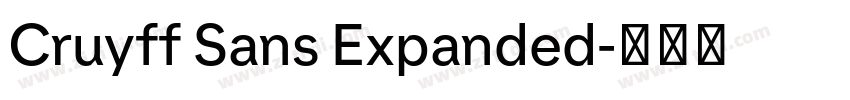 Cruyff Sans Expanded字体转换